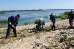 Очистка берегов реки Волга в Нижегородской области