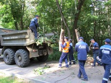 Уборка мусора в Арзамасском дендрарии