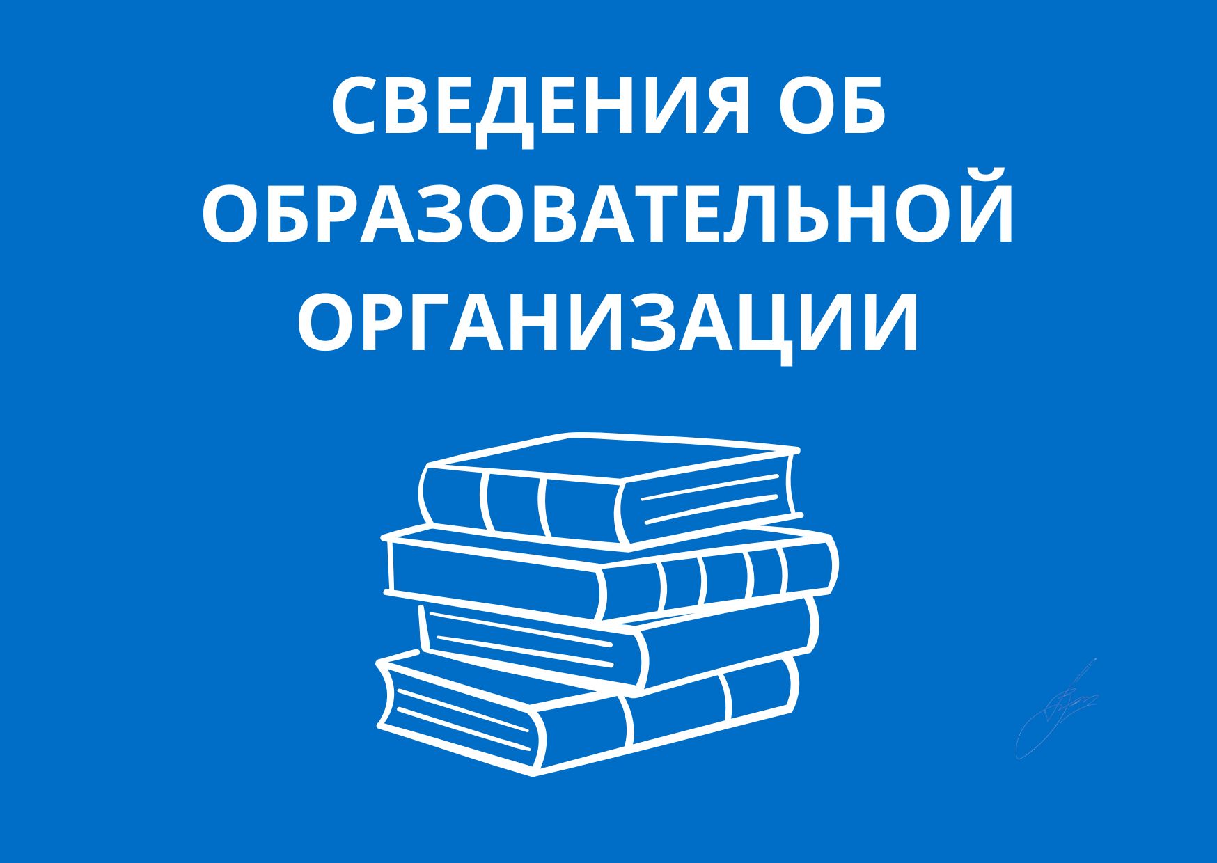 Сведения об образовательной организации