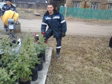Сотрудники Семеновского ЛПУМГ высадили Аллею памяти в поселке Керженец, Нижегородской области